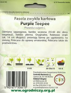 Fadola Purple Teepee 2